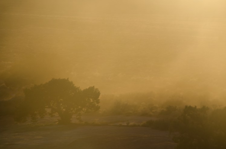 20170320-DSC_0382-23