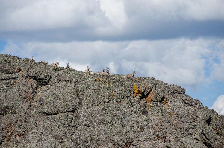 summer2017 (12 of 70)